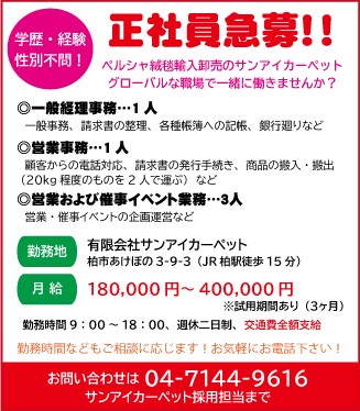 ペルシャ絨毯専門店 デコラシオン柏 正社員急募！ | 東葛毎日