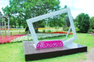清水公園
