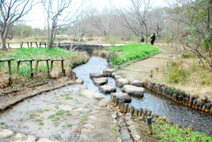 ２１世紀の森と広場