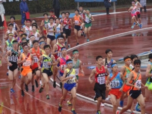 第７３回（2019年）東葛駅伝フォトアルバム
