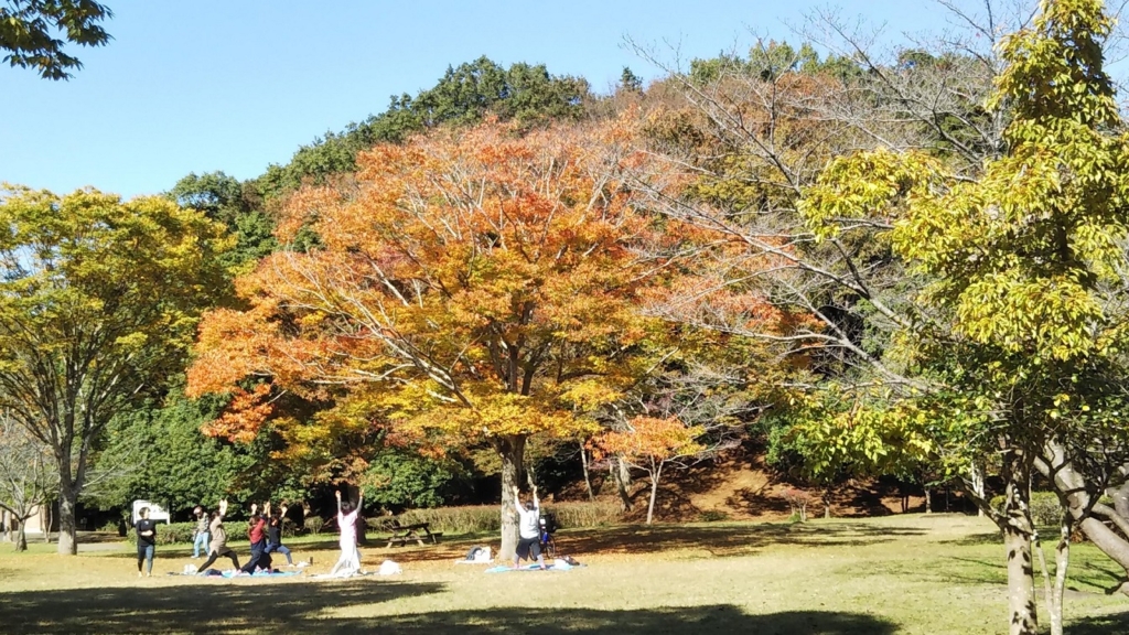 ユーカリ日和　　佐倉市