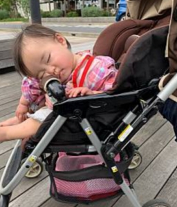 はぐはぐ☆子育て応援フォーラム柏