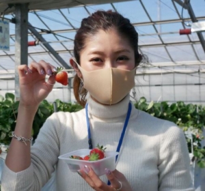 ゆったり安心のイチゴ狩りはマスク着用で