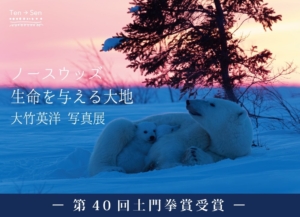 10月9日より開催 大竹英洋 写真展「ノースウッズ 生命を与える大地」