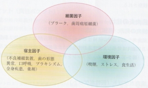 歯周病とその治療①　