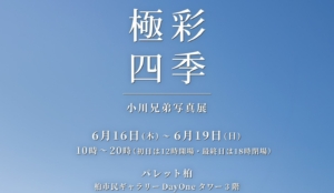 小川兄弟 写真展「極彩四季」 6月16日から開催－パレット柏