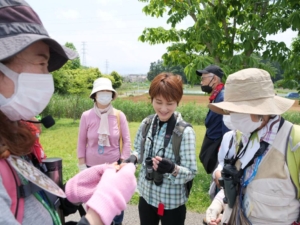 身近な自然から学ぼう ⁻東葛しぜん観察会