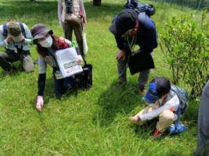 東葛しぜん観察会 ~残された貴重な湿地とモミジを楽しもう~