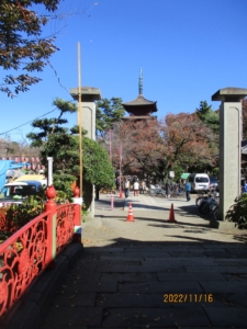 中山法華経寺へ　驚きと発見の骨董市