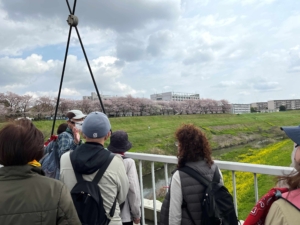 利根運河の春を満喫！－東葛しぜん観察会　