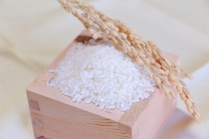 あびこ農産物直売所あびこん　新米フェア　9月24日　