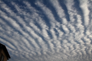 秋空に浮かぶ「ひつじ雲」その個性を探してみよう！　