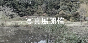 柏の里山　下田の杜写真展