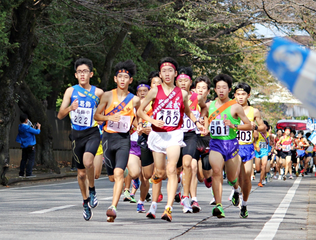 東葛駅伝の特色・レースの見どころ　