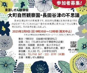 参加者募集!東葛しぜん観察会「大町自然観察園・長田谷津の不思議」2月9日開催!