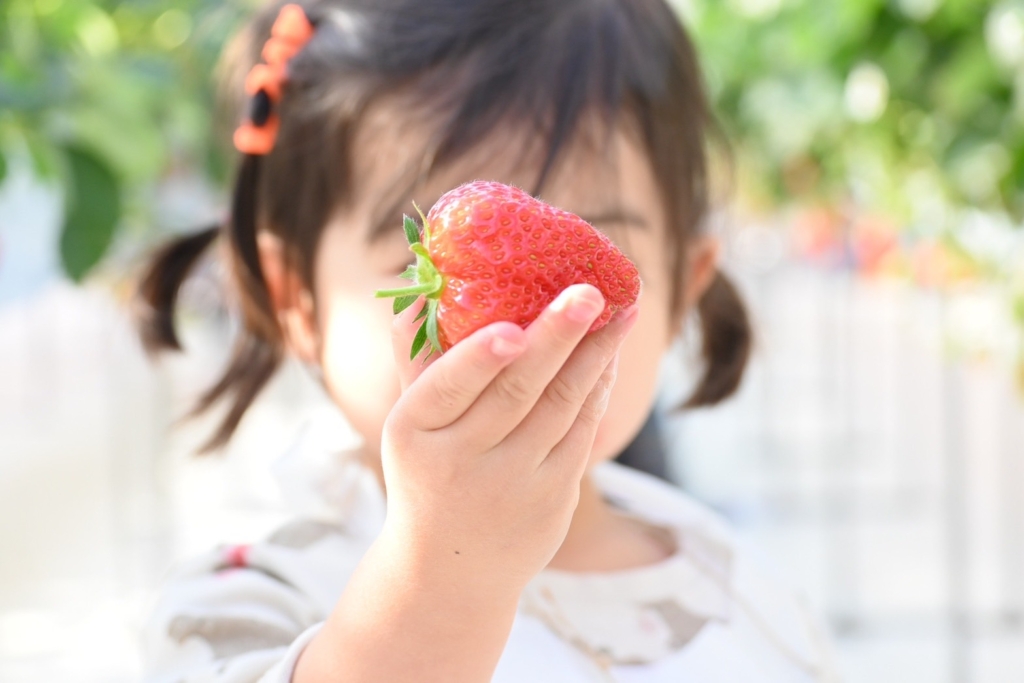 千葉大でいちご狩り⁉