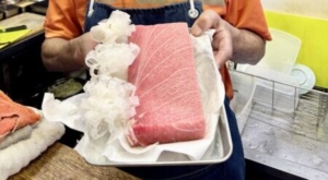 おすすめは「サシミ定食」　船橋市