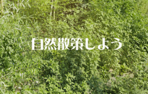 東葛しぜん観察会10月５日開催《北総線小室駅出発》