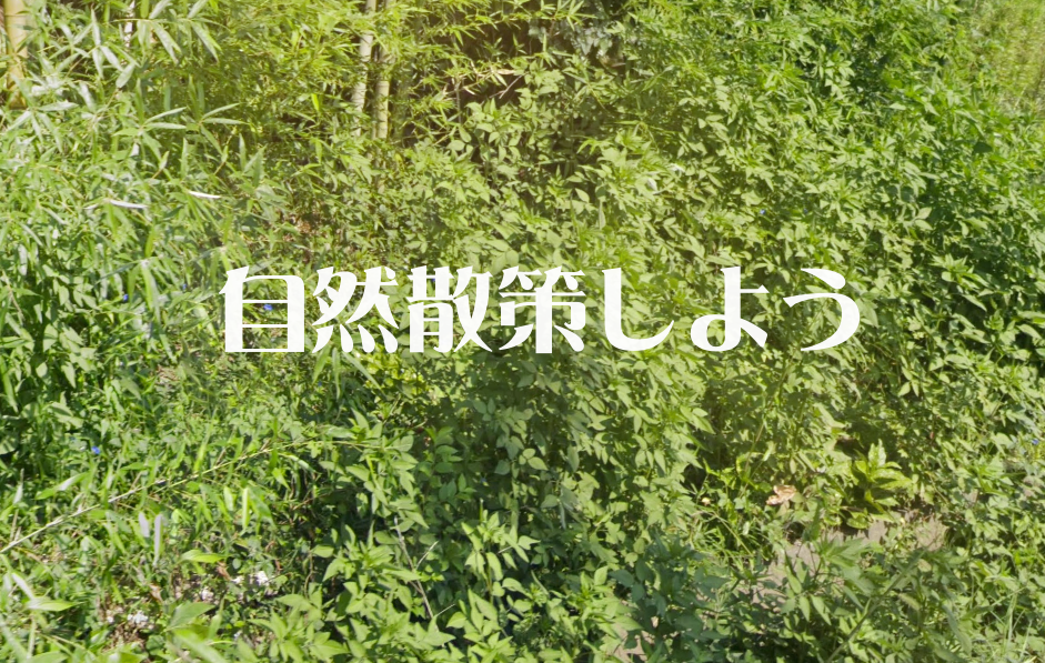 東葛しぜん観察会10月５日開催《北総線小室駅出発》