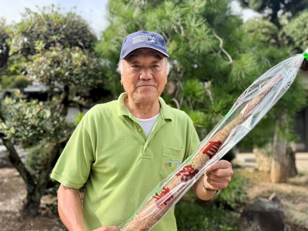 大地が育む極上の味わい　谷嶋稔さんの自然薯　白井市今月中旬から出荷開始