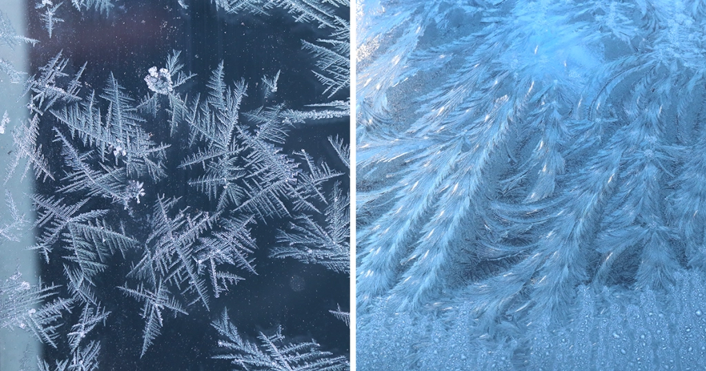 車のフロントガラスにつく氷の造形