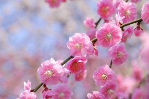 自分を大切にしながら人とつながるために