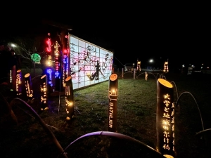 地域愛が咲き誇る「あびこ桜まつり2026」市民のスクラムと隣市との絆