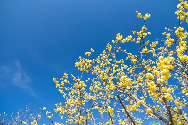 出席報告ってなに？