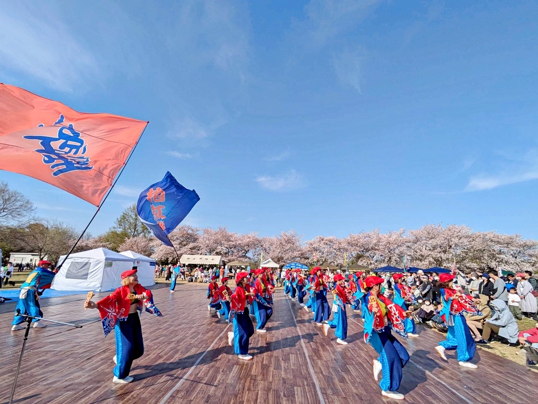 桜の下で深める地域の絆  第3回「地域防災桜まつり」開催