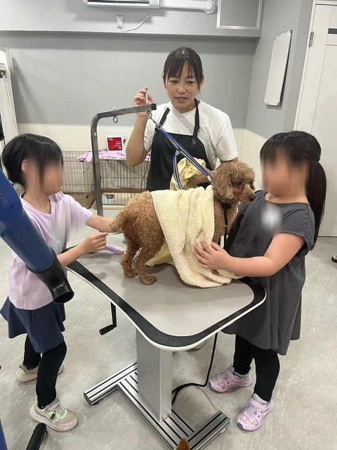 保護犬と向き合う　トリミング教室で子どもたちが学んだ動物愛護
