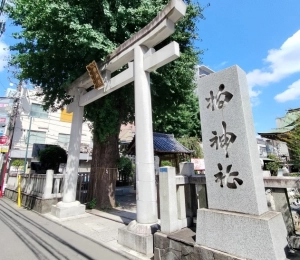 昭和の熱量、柏から発信！画家・小松崎茂氏のSF・戦記画が「御朱印」に　11日から柏神社で限定頒布